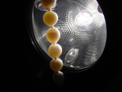 here are the pearls put up to a bright light