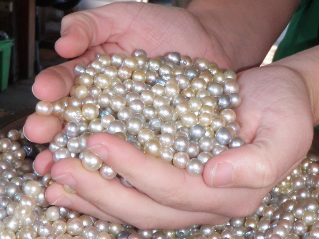 Caring for Pearls Tips