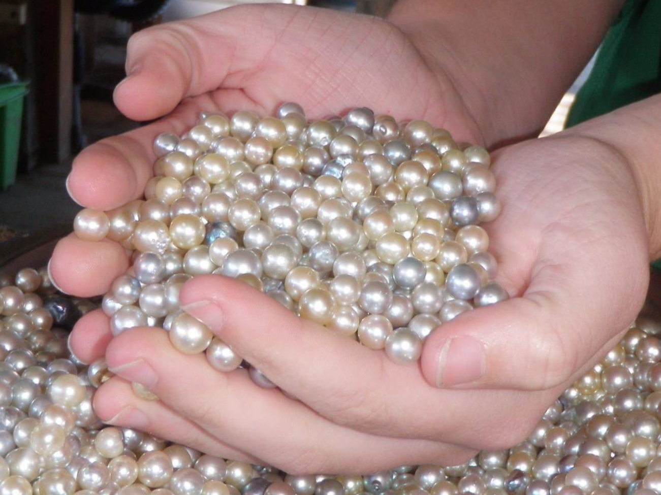 How to Buy Pearls and Why You Should Avoid Coral